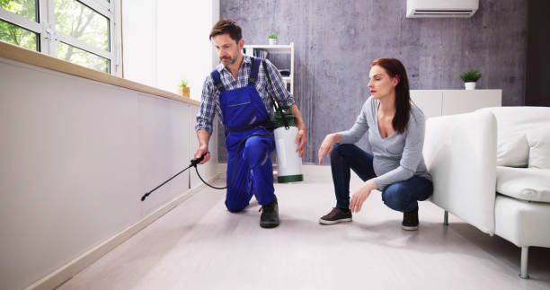 Best Indoor Pest Control  in Green Meadows, OH